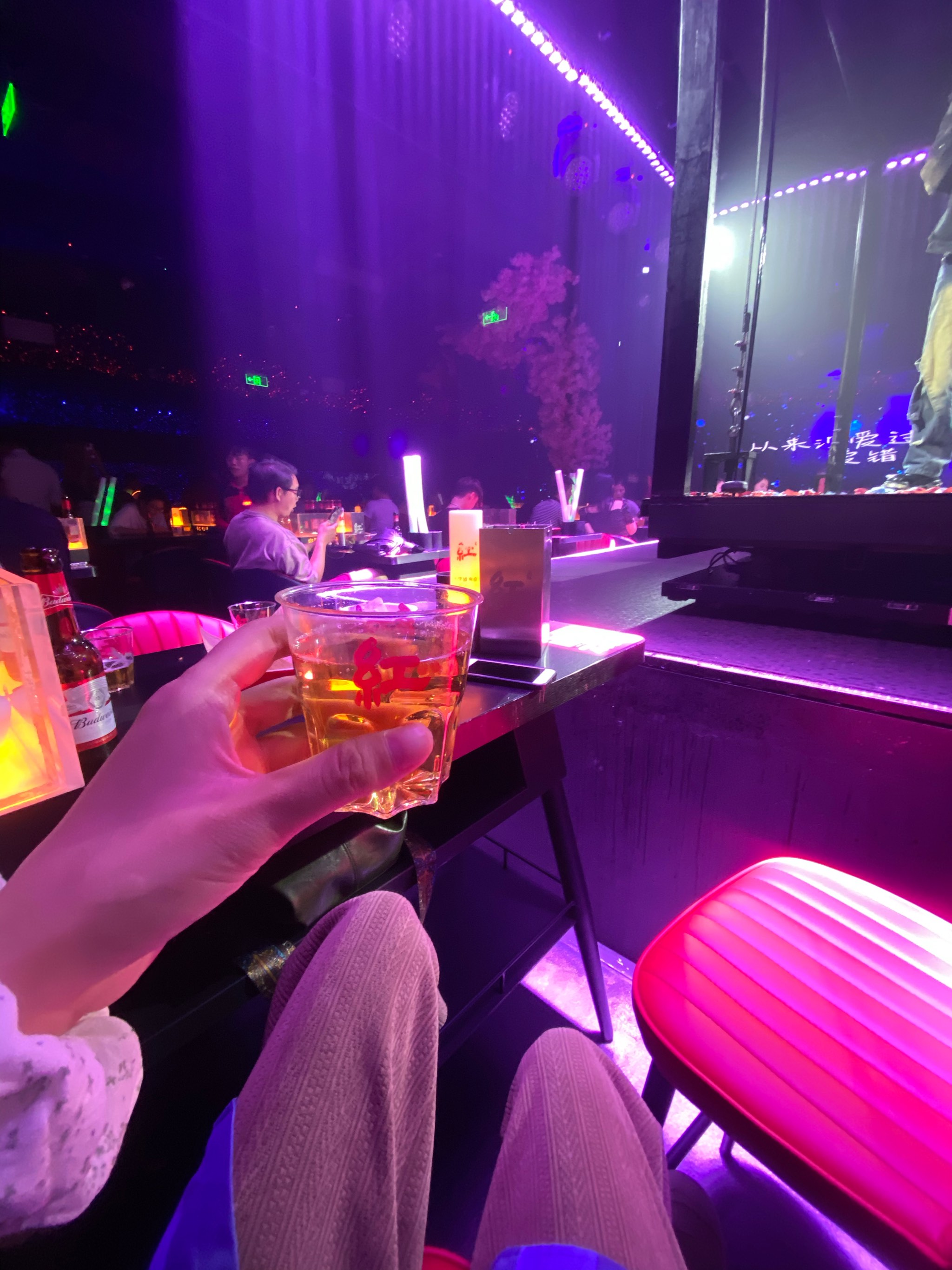 常德商务KTV推荐指南-安乡县ktv预订